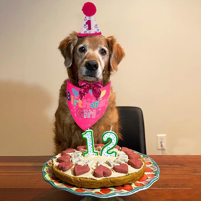 PTDECOR Dog Birthday Party Supplies, Girl Dog Birthday Hat with Numbers Pet Puppy Bandanas Hat Bow Set for Small Medium Large Dogs Pets (Pink)