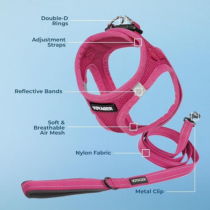 Best Pet Supplies Voyager Step-in Air All Weather Mesh Harness and Reflective Dog 5 ft Leash Combo with Neoprene Handle, for Small, Medium and Large Breed Puppies - Set (Fuchsia), L