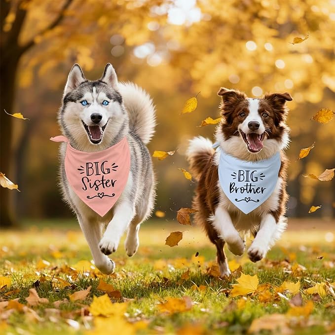 2 Pack Big Sister Big Brother Dog Bandanas, Adjustable Pet Bandana for Pregnancy Announcement, Soft Triangle Scarf for Small Medium Large Dogs, Puppy Sibling Reveal Accessories