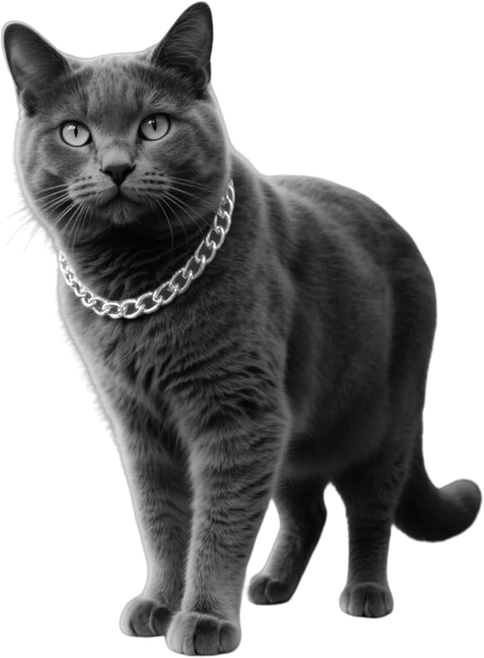 Silver Cat Chain Collar,Adjustable Cuban Link Necklace for Cats, Lightweight & Durable Metal Pet Gift, Stylish Decorative Accessory (Silver, M)