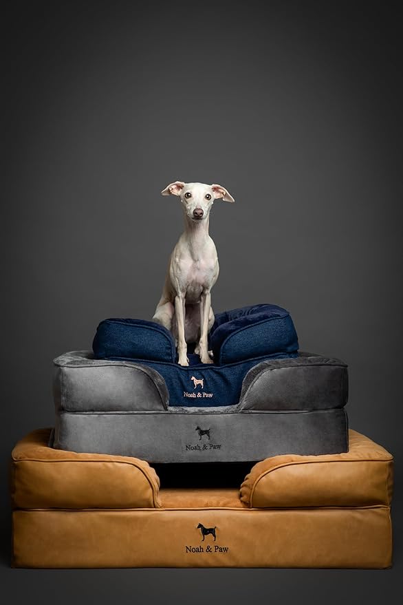 NOAH & PAW XL Dog Bed, 45x35x9.1 Inch, Orthopedic Large Dog Beds, Eggshell Memory Foam Infused with Cooling Gel, Waterproof, Machine Washable, Includes Inner Cover (Velvet Collection)