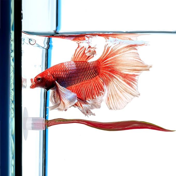 WILLBOND 2 Pcs Red Silicone Betta Fish Bed Leaf Hammock Betta Fish Tank Accessories Decorations for Aquarium Ornaments, Practical Resting Spot, No Bpa, Comfortable and Safe