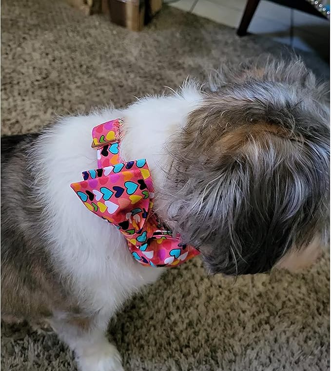 Lionheart glory Valentine's Dog Collar, Dog Collars with Bow, Pet Collar Adjustable Dogs Bowtie Pet Collars for Small Dogs