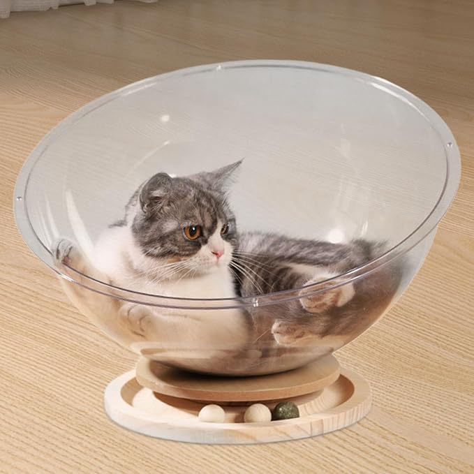 Space Capsule Cat Transparnt Cat House Set with Track Balls Toy, All Seasons Universal Activity Centre Stable Kitten Nest Pet Accessories for Cats/Kitten Cats, Style B L