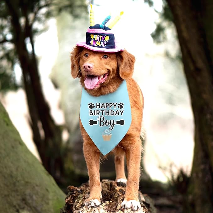Dog Birthday Bandana Boy Happy Birthday Gifts for Dogs Photo Prop Party Supplies Puppy Pet Scarf Accessories for Dog Lovers