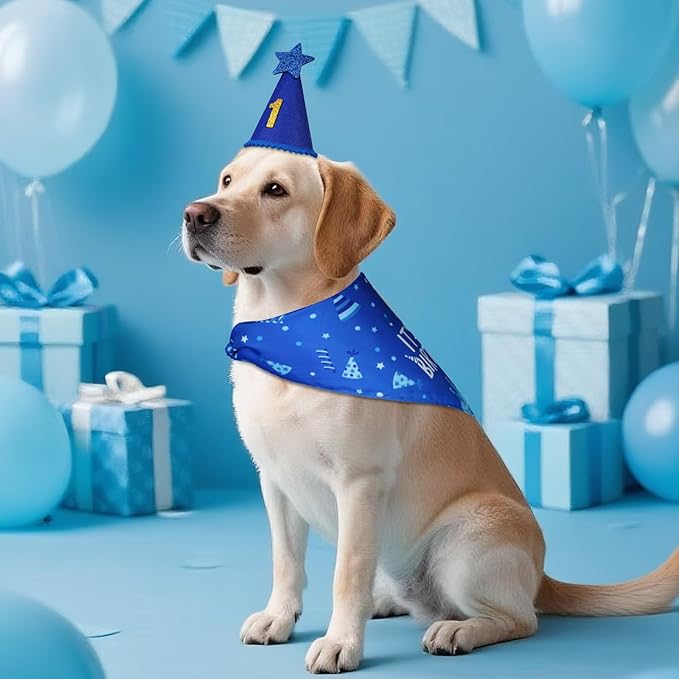 Dog Birthday Party Supplies, Blue Dog Birthday Set with Hat Bandana Numbers for Large Medium Boy Pets Puppy