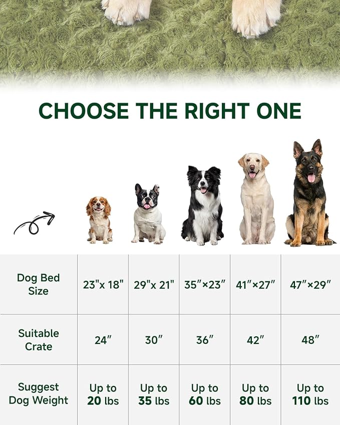 KSIIA Washable Dog Bed Comfy Dog Crate Pad Deluxe Plush Pet Bed Non-Slip Kennel Pad for Small Dogs, 23" x 18", Green