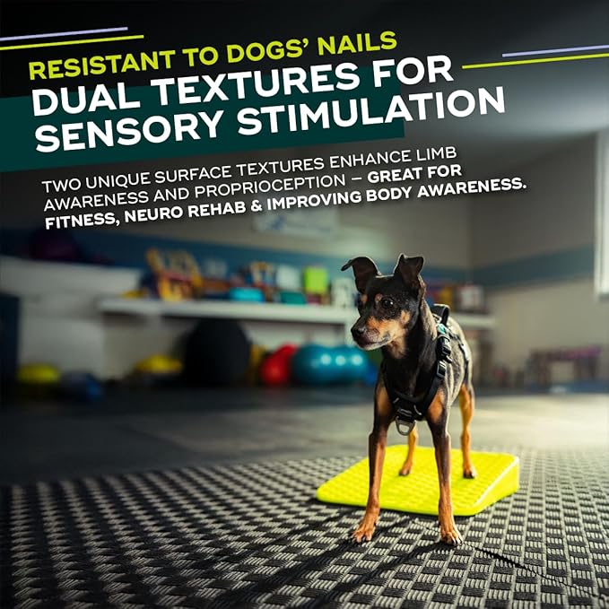 FitPAWS Balance Ramp | Dog Agility Equipment for Balancing, Obedience Training, and Sensory Stimulation