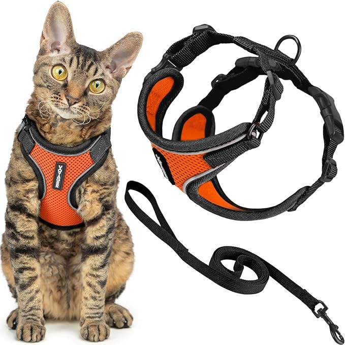 Voyager Escape-Proof Step-in Lock Cat Harness & 5ft Neoprene-Handle Leash Set All-Weather Mesh with Reflective Stitching for Small to Large Cats by Best Pet Supplies, Black Trim-Orange (327), XS