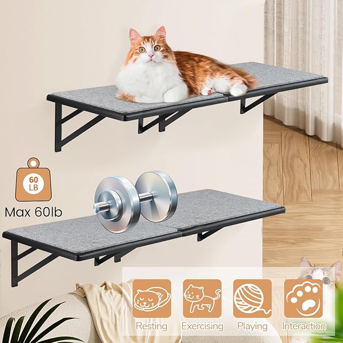 Cat Wall Shelves Set of 4, Purrfect Cat Furniture Set - 4 Piece Wooden Wall Shelves with Scratching Pad, Sleeping & Playing Area, Window Perch for Large Cats - Black