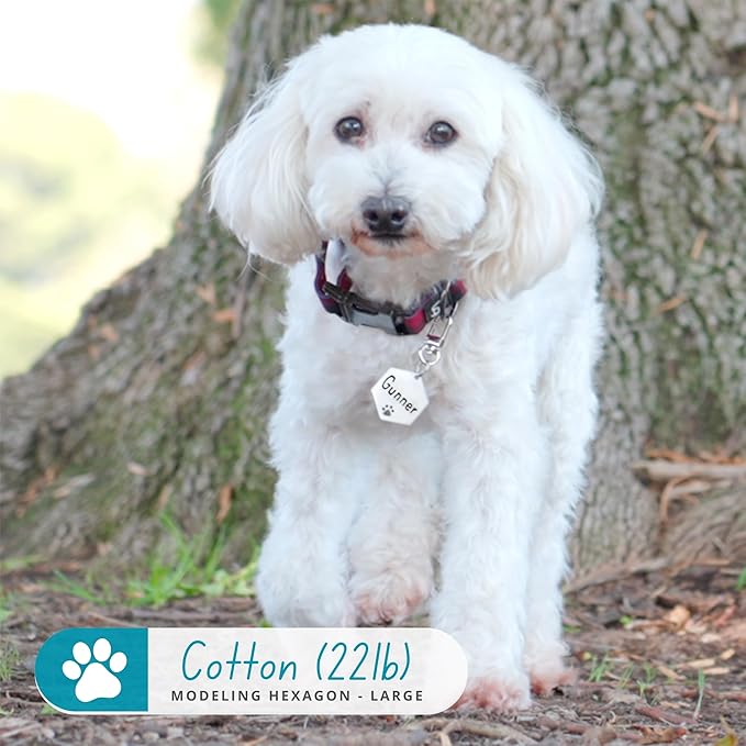 Ultra Joys Dog Tags Personalized for Pets - Hollow Paw Custom Pet ID Tag - Engraved Dog Tag for Small, Large Dogs - Small Hexagon in Gold