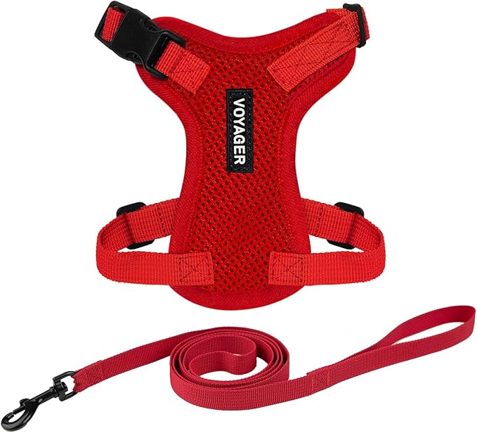 Voyager Escape-Proof Step-in Lock Cat Harness & 5ft Neoprene-Handle Leash Set All-Weather Mesh with Reflective Stitching for Small to Large Cats by Best Pet Supplies, Red, XS