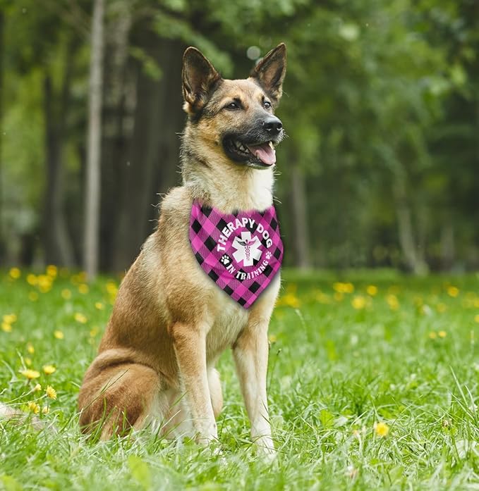 Dog Bandana, Therapy Dog Please Pet Me with, Dogs Scarf Classical Printing, Dogs Scarf Accessories, Doggy Kerchief Pet Kerchief, Christmas Birthday Thanksgiving Doggy Gift A07