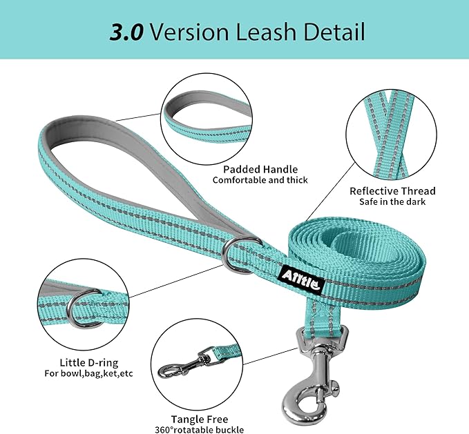 AIITLE Escape Proof Dog Harness - Step in Adjustable Dog Harness No Choke Over with Breathable Mesh and Quick-Release Buckle for All Weather- Outdoor Walking, Training for Medium Dogs Turquoise XL