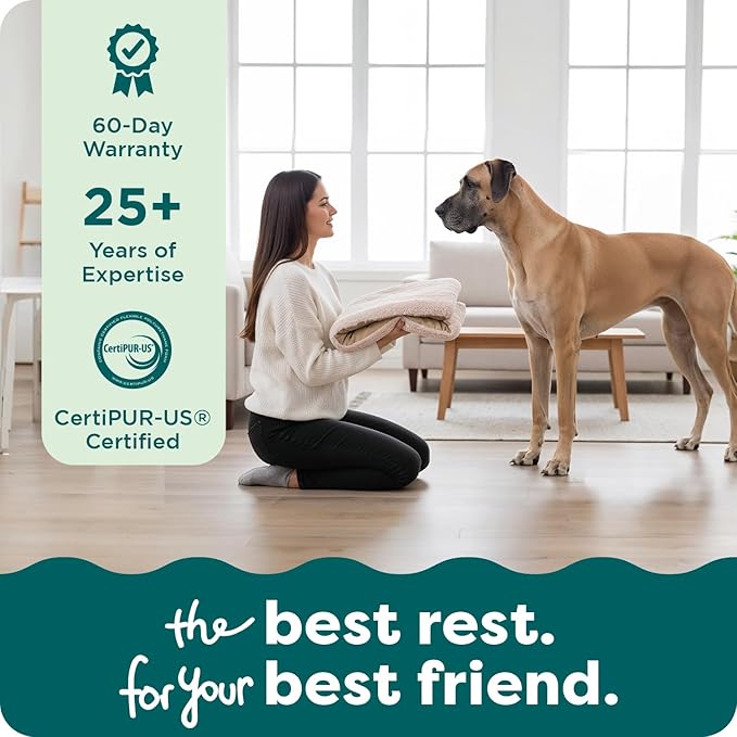FurHaven Replacement Dog Bed Cover, Contour Luxe Lounger Design, Soft & Breathable Fabric for Cozy Comfort, Machine Washable, Jumbo Plus XXL, Ultra Plush Faux Fur & Suede, Cream