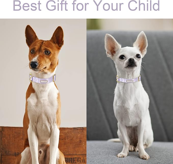 Nylon Dog Collar - Adjustable Lavender Soft Webbing Dog Collars for Small Medium Large Dogs Boy Girl Puppy Collar with Safety Metal Buckle M