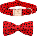 Lionheart glory Dog Collar, Watermelon Dog Collar with Bow, Summer Dog Bowtie Collar Cute Pet Collar Gift for X-Small Puppy and Cat
