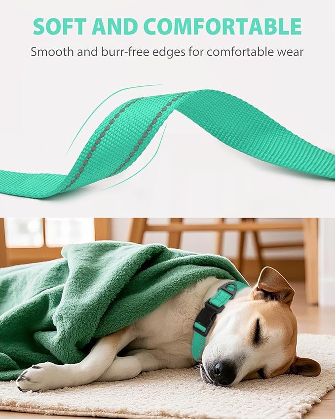 Joytale Reflective Dog Collar, Adjustable Nylon Pet Collar with Quick-Release Buckle for Medium Dogs, Teal, M