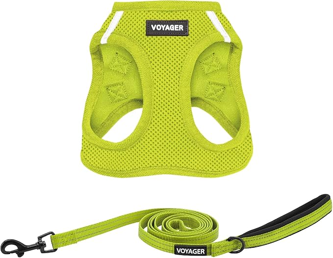 Best Pet Supplies Voyager Step-in Air All Weather Mesh Harness and Reflective Dog 5 ft Leash Combo with Neoprene Handle, for Small, Medium and Large Breed Puppies - Set (Lime Green), M
