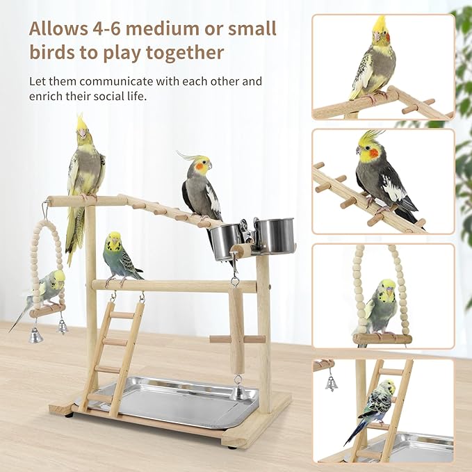 Bird Playground, Playstand for Parrot Cage Accessories (1 Ladder with Swing)