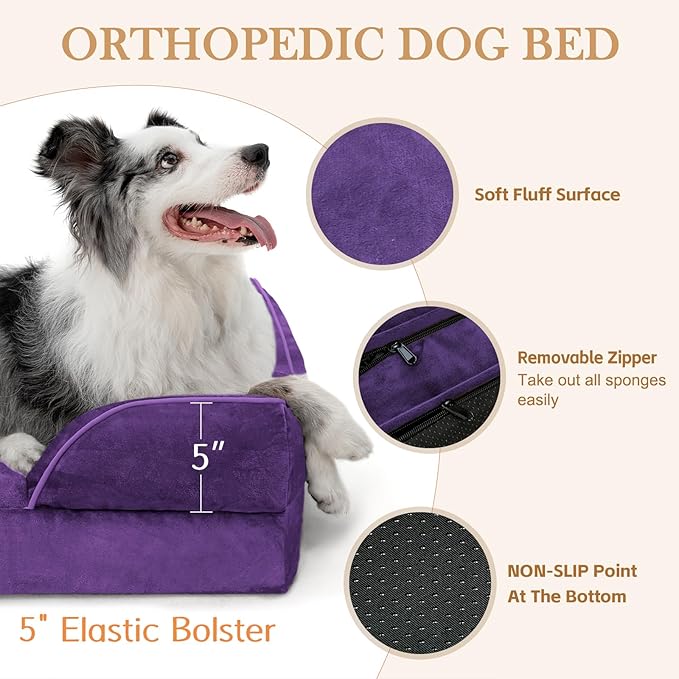 Comfort Expression Orthopedic Dog Bed for Extra Large Dogs 42x30 Inch, Waterproof Egg Crate Foam XL Pet Bed with Removable Bolsters, Dog Couch with Washable Cover & Non-Slip Bottom, Deep Purple