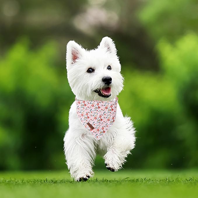 Summer Dog Bandana, UP URARA PUP Orange Bandana for Small Large Dogs, Cotton Handkerchief Cute Little Flower Puppy Triangle Bid Scarf for Boy Girl Dogs