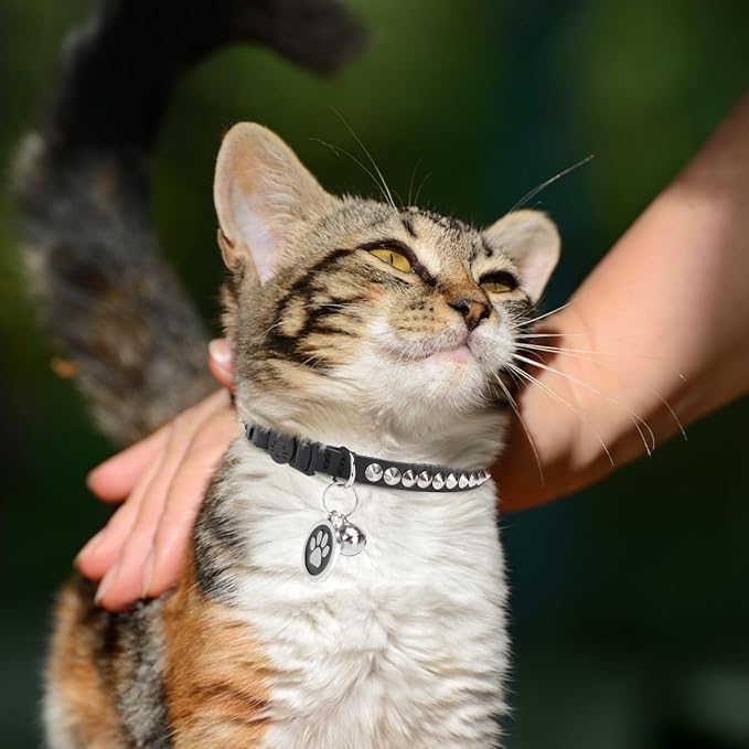 Leather Personalized Breakaway Cat Collar with Studded Bell and Safety Quick Release Buckle - Rivets Studded ID DIY Collars for Boy Girl Cats Kittens, Black XS