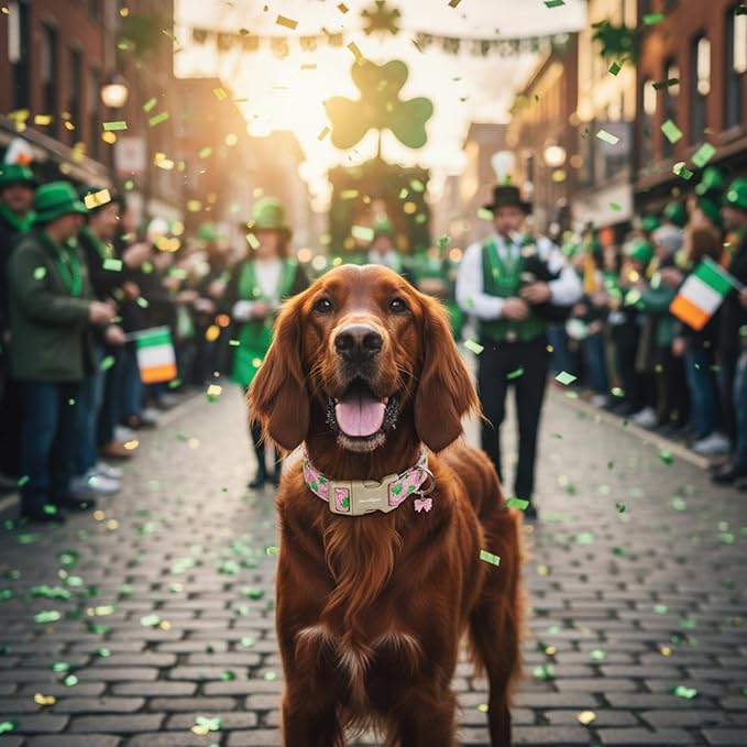 St. Patrick's Day Dog Collar,Pink Bow with Green Clover Puppy Collar,Adjustable Spring Cotton Collars Gifts for Small Medium Large Dogs,Dog Accessories XS