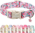 Floral Dog Collar, Cute Girl Dog Collars - Pastel Wildflowers Pattern Spring Summer Puppy Collar, Adjustable Female Dog Collars for Small Medium Large Dogs XS