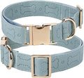 TDTOK Stylish Leather Dog Collar, Comfortable Soft PU Leather Dog Collars for Large Medium Small Dogs with Quick Metal Buckle, Adjustable Pet Collar with Cute Bone Pattern Design (Blue, M)