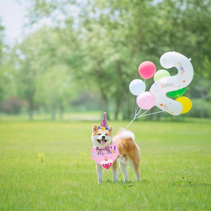 Pet Birthday Party Set with Hat and Bandana for Dogs and Cats with Star Pattern Design, Adjustable Sequin Bow tie Accessories, Pink Birthday Girl Scarf (Pink)