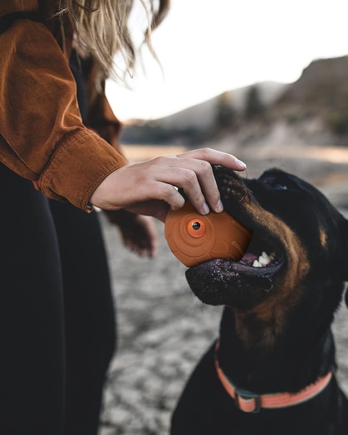 Mewlmart Giggle Ball for Dogs Owl Toys for Aggressive Chewers Dog Ball Toy for Puppy Medium Large Dogs Fun Gift for Dog Natural Rubber Cute Hoot Brown