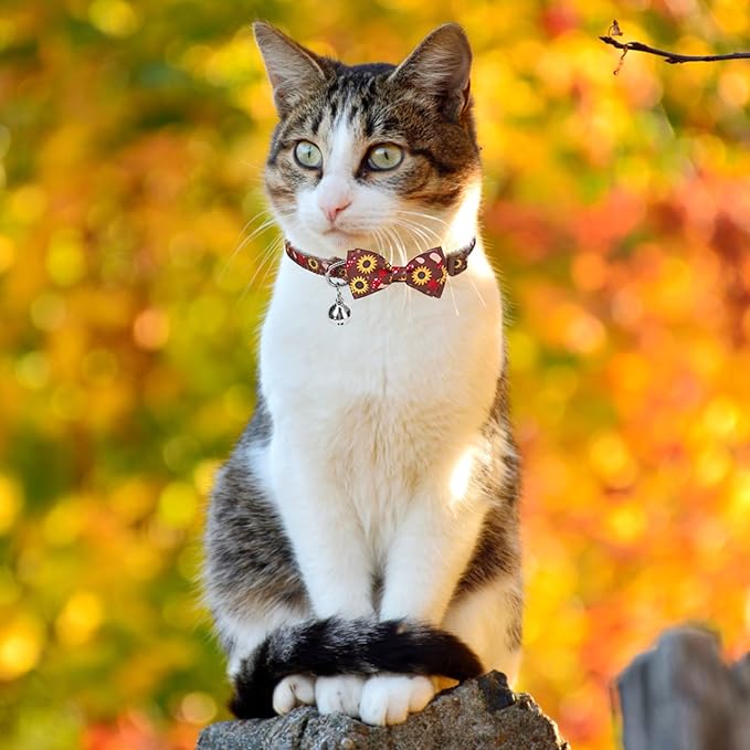 SCENEREAL Fall Thanksgiviing Cat Collar Breakaway Girl Boy, 3 Pack Turkey Pumpkin Pattern Adjustable Kitten Collars with Bell, Holiday Cute Cat Collars with Bowtie and Safety Buckle