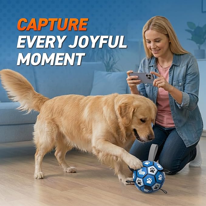 QDAN Dog Balls Toys, Soccer Ball with Straps, Balls for Dogs for Small Medium Puppy, Herding Ball Toy, Birthday Gifts (6 Inch)