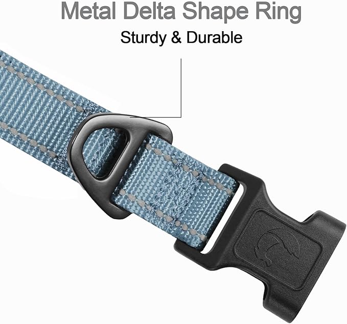 Joytale Reflective Dog Collar, Soft Neoprene Padded, Metal D-Ring, Nylon Pet Collar Adjustable for Large Dogs, Gray, L
