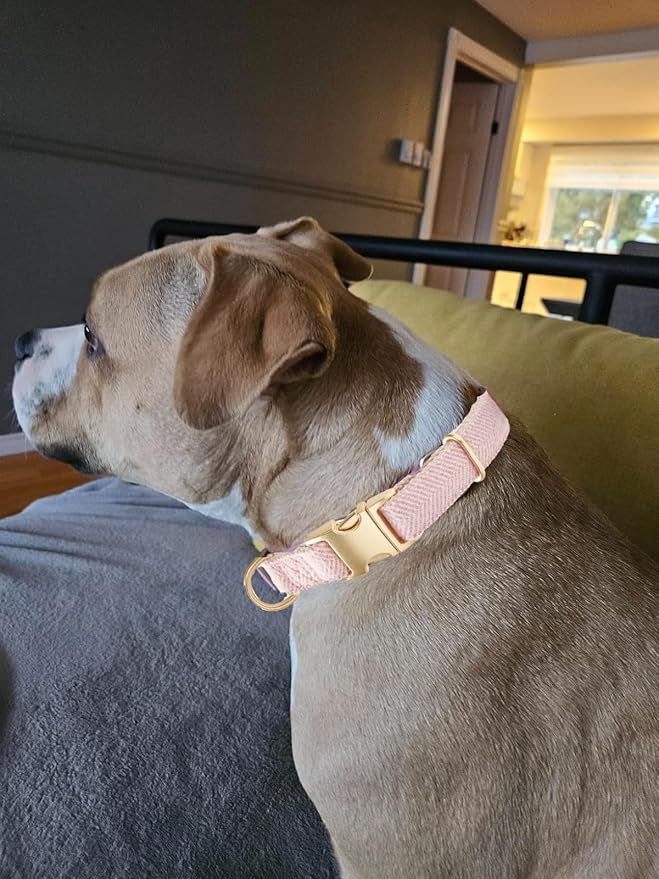Soft Cotton Hemp Dog Collar with Metal Buckle Adjustable Twilled Dog Collars for Female Small Medium Large Dogs(Pink,Medium)