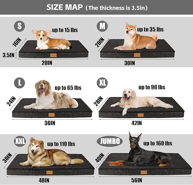 Patas Lague Orthopedic Dog Bed Large Sized Dog 36''X24'',Soft Waterproof Egg Crate Foam Medium Pet Crate Beds Mat with Removable Washable Cover and Non-Slip Bottom, Black