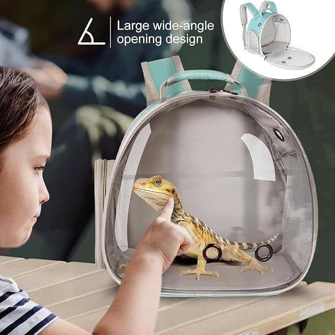 Guinea Pig Backpack Carrier, Bearded Dragon Carrier Backpack with Clear Bubble Window,Small Animal Travel Backpack for Hedgehog Rat，Chameleon,Rabbit,Sugar Glider,Airline Approved (Green, Backpack)