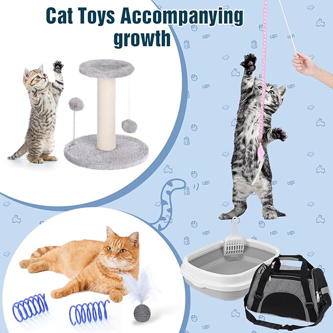 Eccliy Kitten Starter Kit, 10 Pcs Cat Starter Kit for Indoor Cats Kitten Essentials Includes Litter Box, Pet Toy, Folding Carrier, Climbing Frame, Mat, Collar, Automatic Food Bow(Cute,Gray)