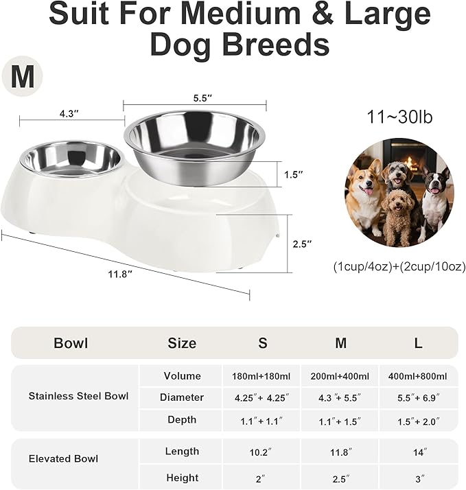 Double Dog Bowls Set – Non-Slip Pet Food & Water Dishes with Resin Stand, Includes Small (1 Cup) & Medium (2 Cups) Bowls – Ideal for Puppies and Cats – White
