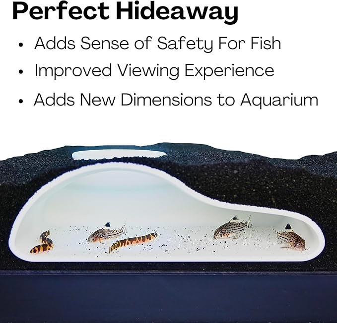 Aquarium Underground Tunnel Cave Natural Curve | Viewing Fish & Shrimp Under Gravel Tunnel | Fish Tank Decor Decoration Hideout Perfect for Corydora Catfish, Kuhli Loach, Clown Loach, Pleco (White)