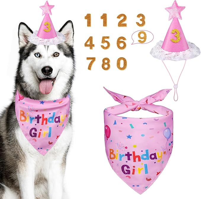 Dog Boy Girl Birthday Party Hat, Dog Birthday Party Supplies, Doggie Birthday Bandana Set with Numbers for Gaint and Extra Large Puppy (Pink)