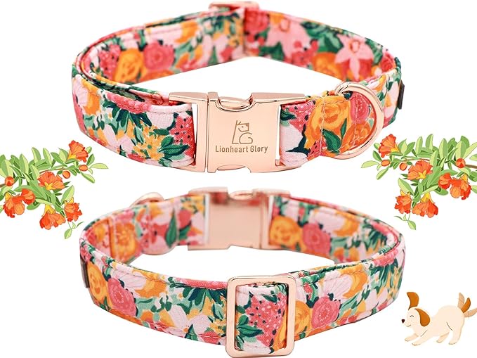 Lionheart Glory Dog Collar With Flower - Cute Floral Pattern Adjustable Pet Collar for X-Small Dogs
