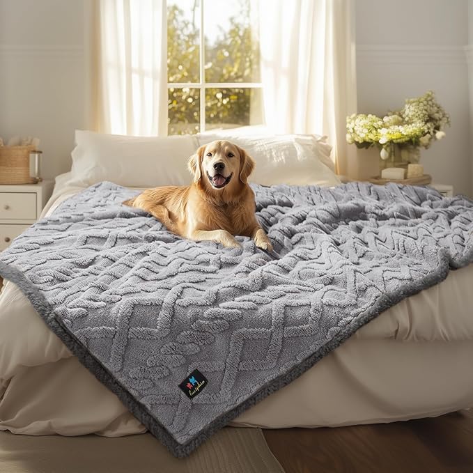 Luciphia Waterproof Pet Blanket, Liquid Pee Proof Dog Blanket for Sofa Bed Couch, Reversible Sherpa Fleece Furniture Protector Cover for Small Medium Large Dogs Cats, Light Grey Queen Size（90" x 82"）