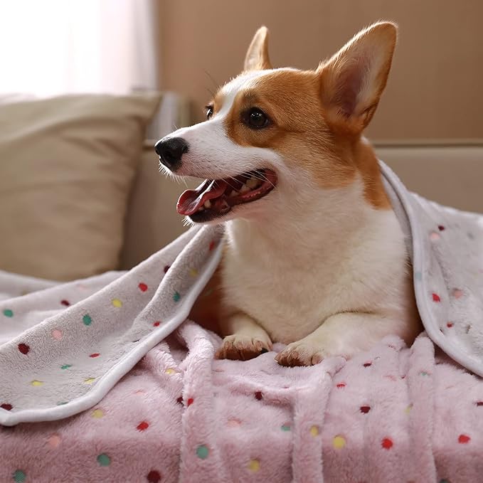 Luciphia 1 Pack 3 Blankets Super Soft Cute Dot Pattern Pet Blanket Flannel Throw for Dog Puppy Cat Medium(30x20), Brown