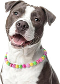 Beaded Dog Necklace Collar, Adjustable Jewelry-Inspired Design with Sparkle Beads (Vivid Tropics, Large)