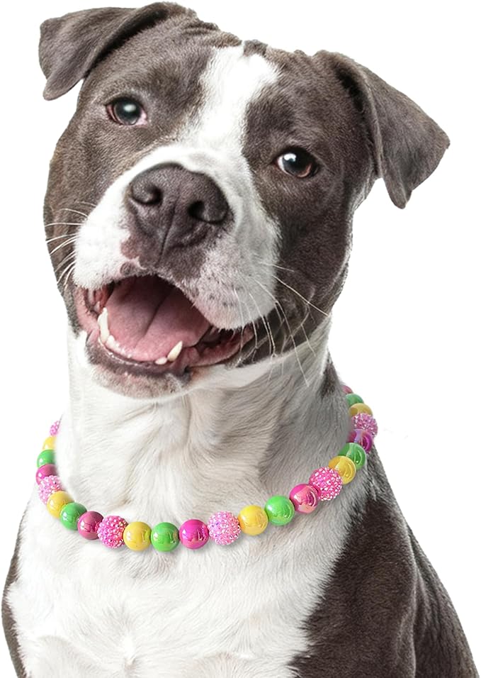 Beaded Dog Necklace Collar, Adjustable Jewelry-Inspired Design with Sparkle Beads (Vivid Tropics, Large)