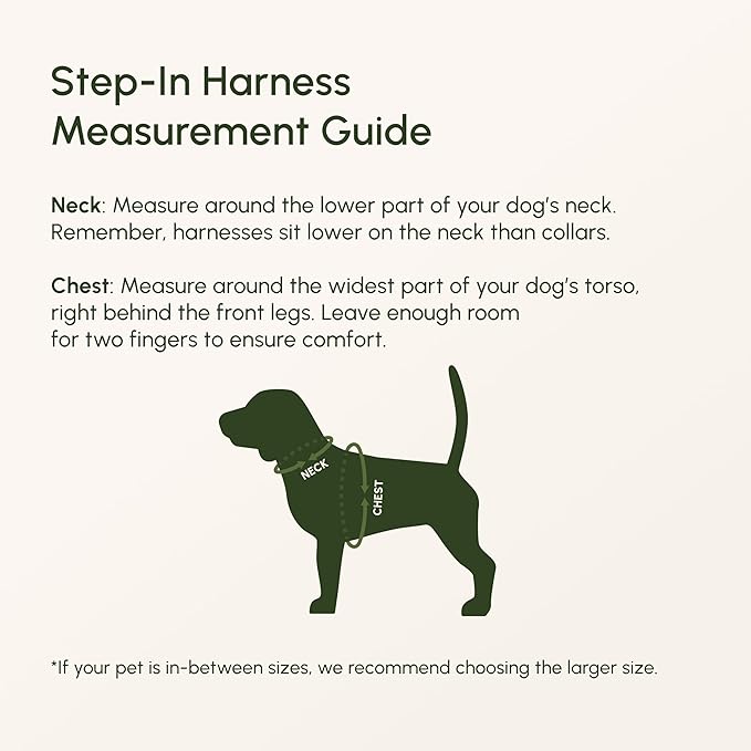 Downtown Pet Supply Step in Dog Harness for Large Dogs - Adjustable, Escape Proof Dog Harness with Reflective Trim - All-Weather, Fast-Drying Padded Mesh Fabric - Tangerine, X-Large