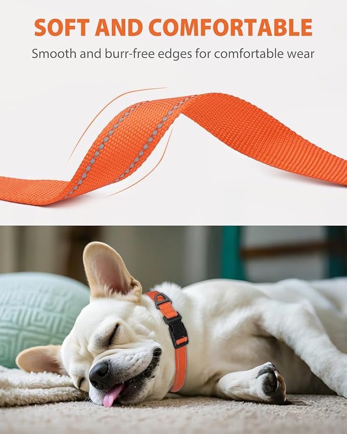 Joytale Small Dog Collar, Reflective and Adjustable Nylon Collar with Quick-Release Buckle, Lightweight No-Choke Design for Small Dogs, Orange, 3/4" Width