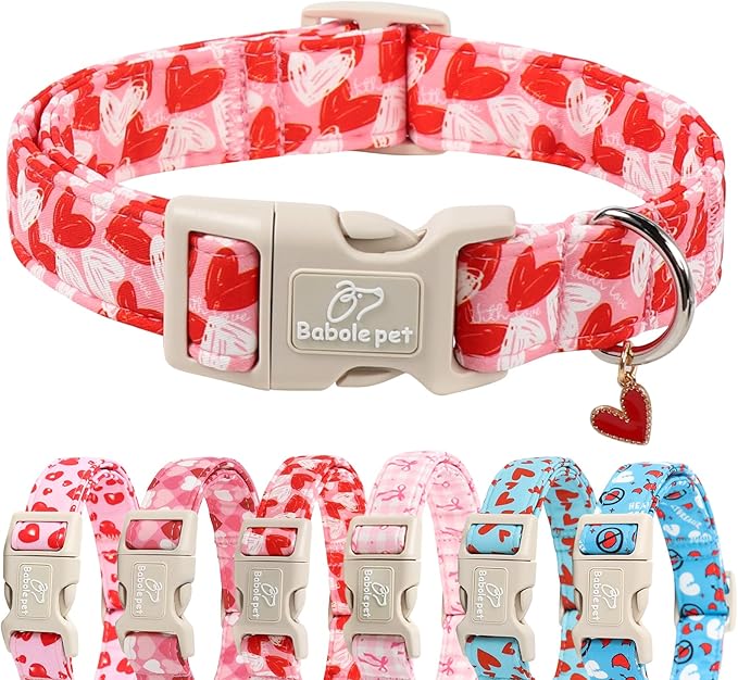 Valentines Dog Collar for Giant Large Dogs - Cute Pink Girl Dog Collar, Doodle Heart Pattern, Adjustable Valentine Dog Collars with Red Heart Charm XL